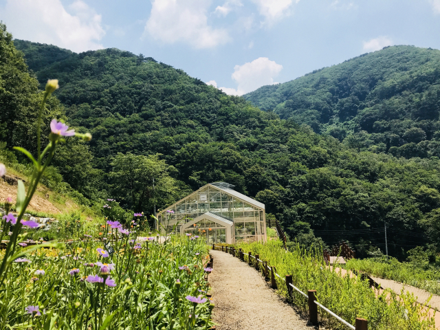 의성군은 옥산면 금봉리 금봉산 일대에