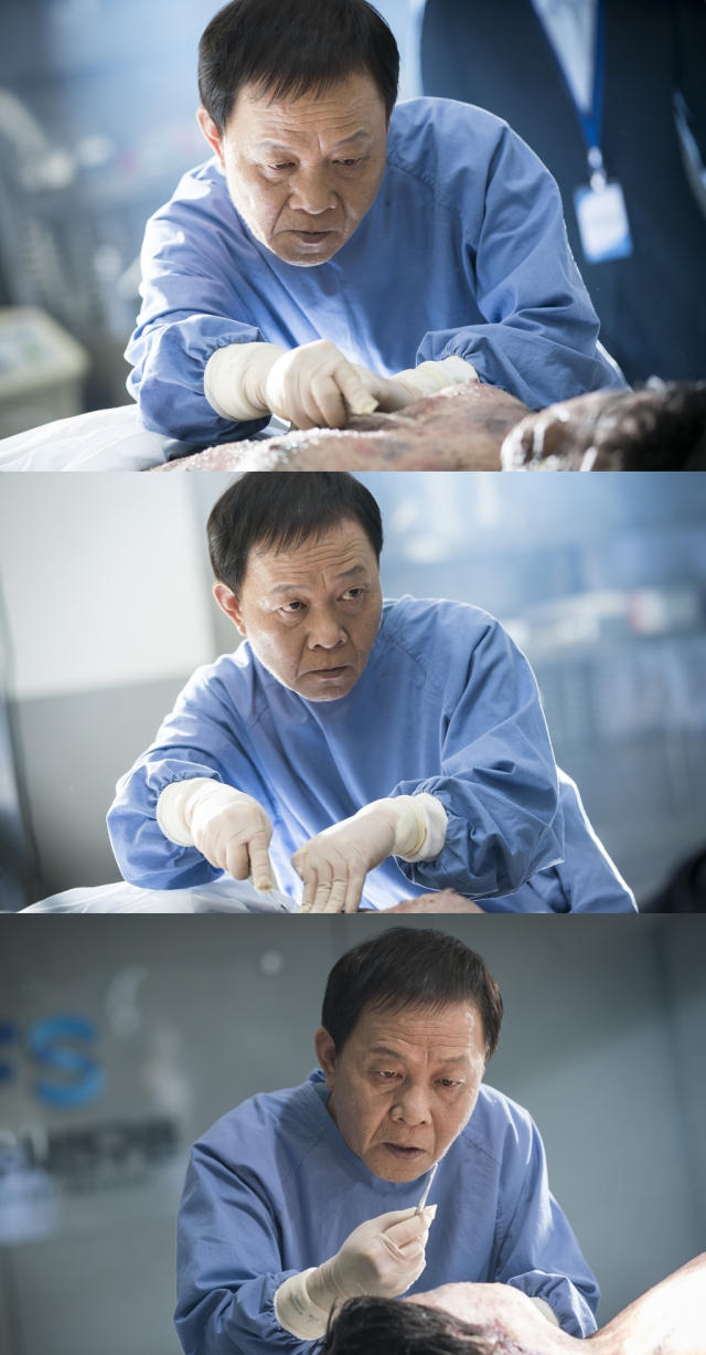 사진= SBS 새 수목드라마 