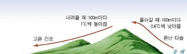 높새바람(푄현상) 설명도. 두산백과