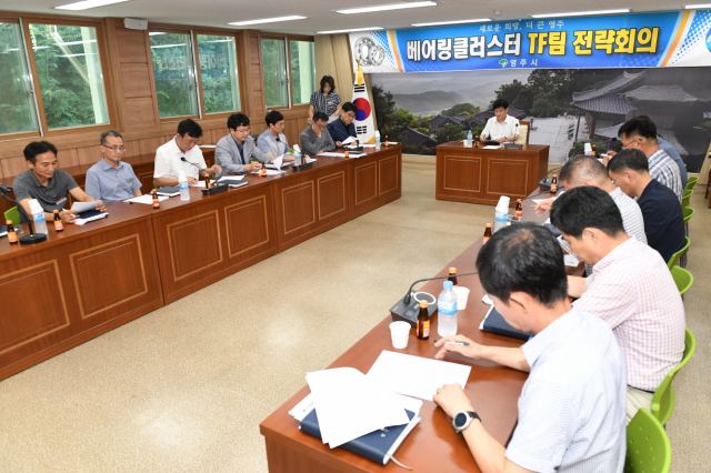 영주시가 베어링크러스터 유치를 위한 TF팀 전략회의를 개최하고 있다. 영주시 제공