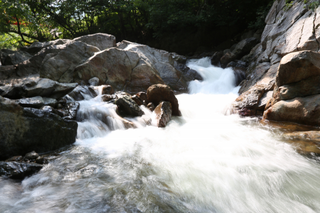 태고의 신비를 간직한 물한계곡.충북도 제공