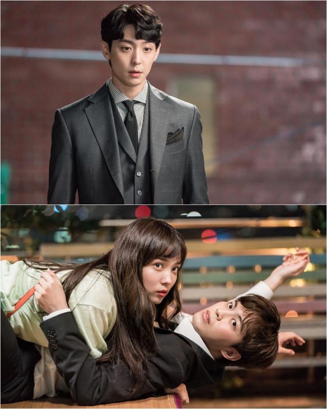 사진. 마녀의 사랑