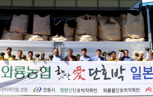 안동 와룡 단호박인 