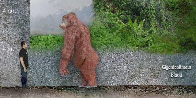 기간토피테쿠스(Gigantopithecus). 출처=deviantart
