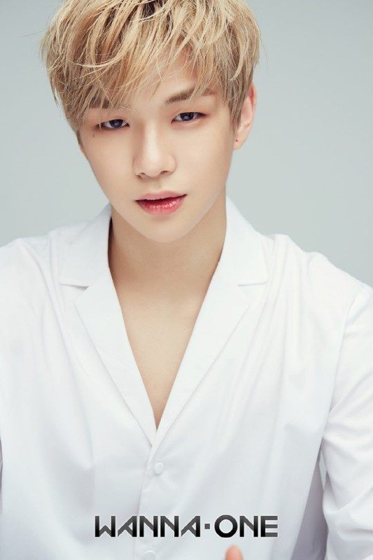 사진. YMC 엔터테인먼트