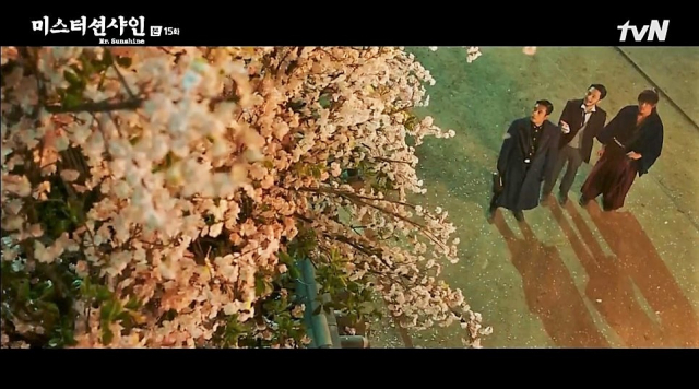tvN 드라마