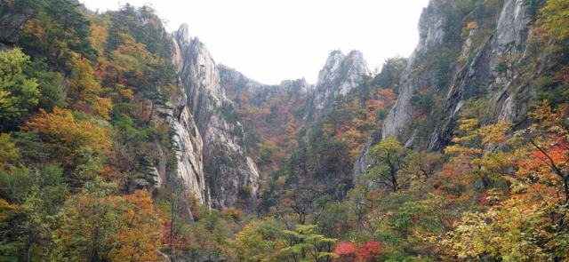 지난해 설악산국립공원양폭산장 일대 단풍이 든 모습. 연합뉴스