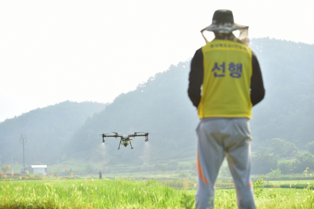 청송군은 남북교류를 통해 청송사과 재배기술을 북한으로 전파할 계획이다. 이와 관련해 최근 조례도 마련하고 있다. 청송군 제공