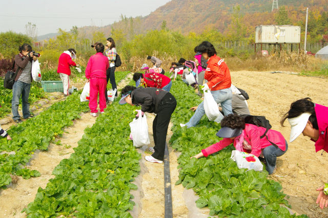 청송군은 고령화된 농촌에 경쟁력을 확보하기 위해 드론 농법을 권장하고 있다. 청송군 제공