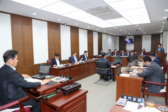 대구시의회 통합신공항 건설 특별위원회가 대구시의회 제261회 정례회 이틀째인 5일 제1차 특별위원회를 열고 있다. 대구시의회 제공
