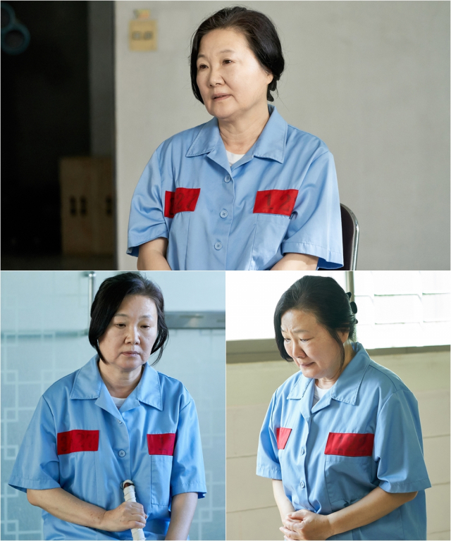 사진. tvN 