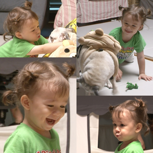 사진= KBS 2TV 