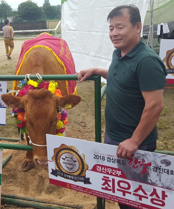 안인영 씨가 경북한우경진대회 경산우 2부 최우수상을 수상한 자신의 한우에게 흐뭇한 시선을 보내고 있다. 고령군 제공