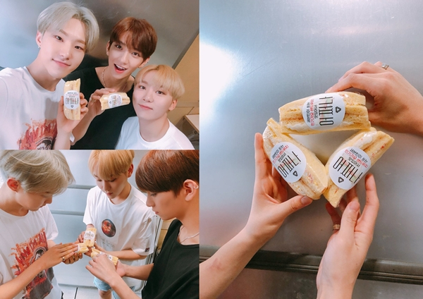 사진.세븐틴 SNS