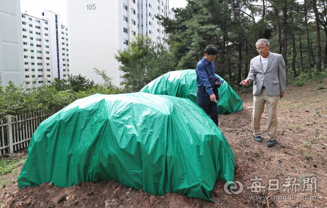 11일 대구 달서구 궁산에서 수령 300년이 넘은 보호수가 벌목돼 주민들이 반발하고 있다. 성일권 기자 sungig@msnet.co.kr