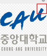 중앙대 로고. 매일신문DB