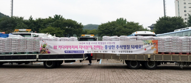 대구 수성구청 