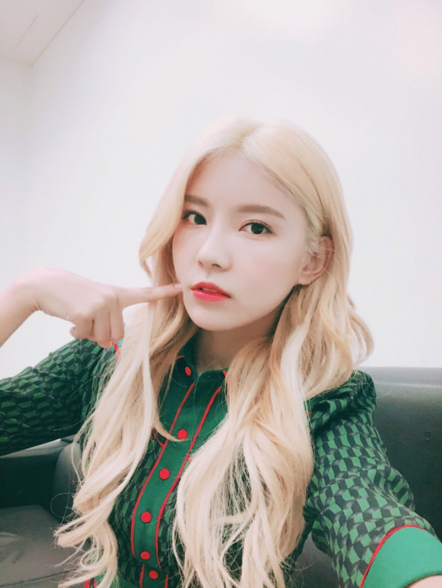 사진. 젤리피쉬
