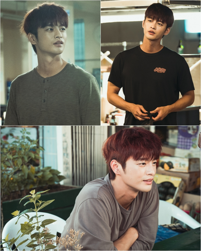 사진. tvN 