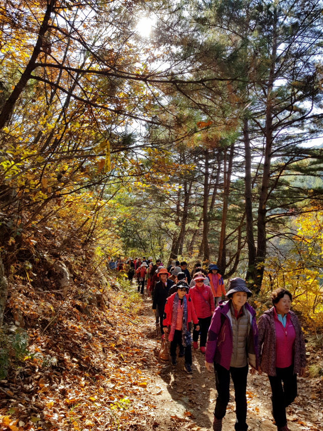 영양 일월산 외씨버선길