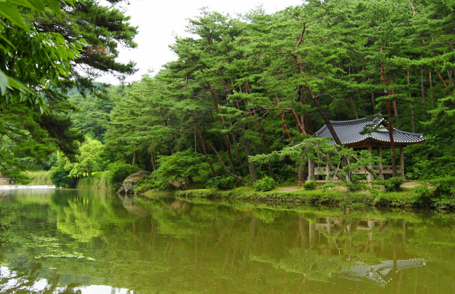 영주 소수서원 취한대