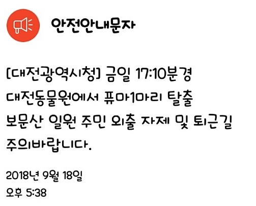 18일 대전동물원에서 퓨마 1마리가 탈출했다는 안전안내문자가 발송돼, 대전 주민들이 불안해하고 있다.
