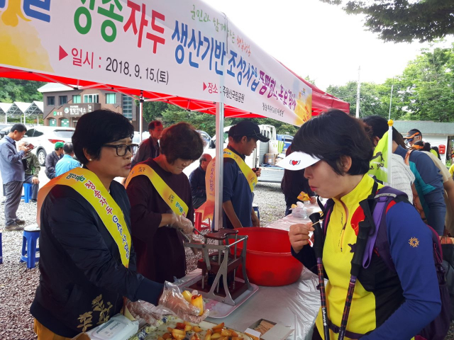 청송자두GAP사업단이 최근 주왕산 입구에서 홍보행사를 펼쳤다. 청송군 제공