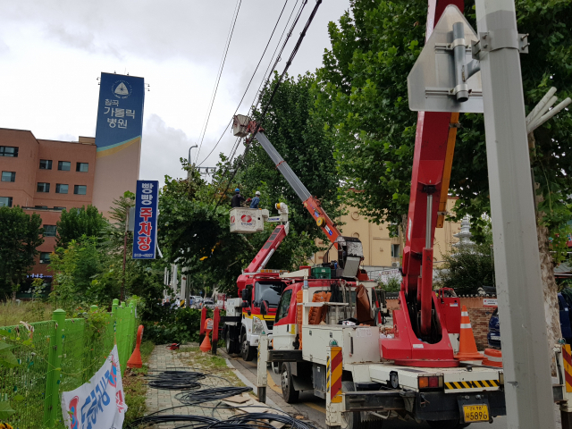 20일 오후 대구시 북구 읍내동 칠곡가톨릭병원 앞 도로에 있는 가로수가 전선 위로 넘어져 한전 관계자들이 현장을 수습하고 있다. 연합뉴스