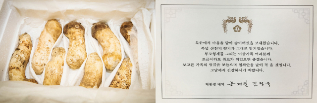 청와대가 문재인 대통령이 