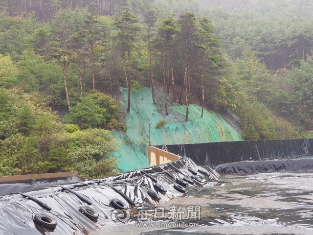 봉화 영풍석포제련소 제1공장에 있는 슬러지 매립장과 뒤편 산의 소나무 모습. 매립장 인근의 소나무들은 불에탄 것처럼 줄기가 고사된 것들이 눈에 띄었다. 김영진 기자