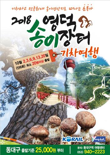 코레일대구본부와 영덕군이 준비한 송이열차 포스터.