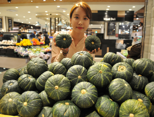 다이어트에 좋은 미니 단호박. 연합뉴스