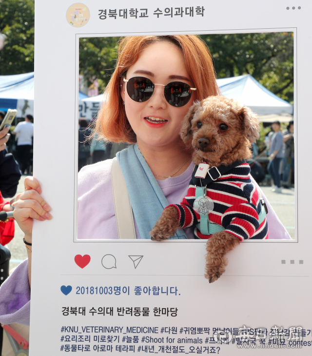 3일 경북대학교에서 수의과대학 주최로 열린 반려동물 한마당에 참가한 한 시민이 반려견과 함께 촬영하는 사진 콘테스트에 참여하고 있다. 성일권 sungig@msnet.co.kr