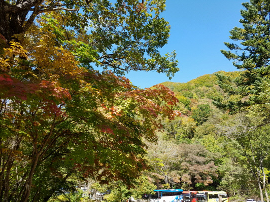 3일 강원 평창군 오대산국립공원의 고지대와 저지대 선재길쪽으로 서서히 단풍이 물들고 있다. 연합뉴스