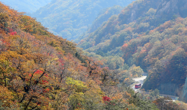 10일 강원 양양군 설악산 오색령 정상에서 바라본 설악산 일대가 단풍으로 물들고 있다. 설악산 국립공원관리공단은 오는 18일께 설악산 단풍이 절정에 이를 것으로 예상하고 있다. 연합뉴스