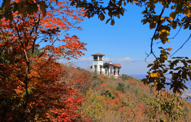 2일 강원 평창군 발왕산 정상(해발 1천459ｍ) 일원이 울긋불긋 고운 단풍으로 물든 모습이다. 연합뉴스