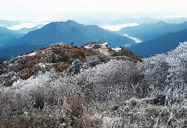 12일 국립공원 덕유산 정상인 향적봉 일대에 올가을 들어 첫 상고대가 맺혔다. 이날 새벽 수은주가 영하 4도로 떨어지면서 붉게 물든 단풍위에 상고대가 내려 성큼 겨울이 다가옴을 알리고 있다. 덕유산 상고대는 매년 10월말께 관측되고 있는데 올해는 20여일 빠르다. 연합뉴스