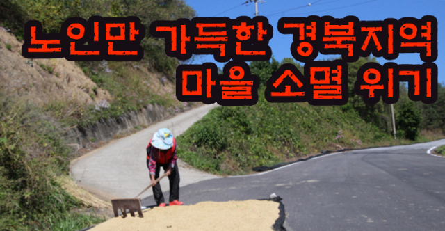 노인만 가득한 경북지역 시골 마을들, 마을 소멸 위기영주시 평은면 평은리 한 마을. 이 마을 강수연(83) 씨는 도로 한 쪽에서 벼를 말리고 있지만 워낙 인적이 드문 지역이고 차량도 거의 다니지 않아 전혀 불편함을 느끼지 않는다고 했다. 윤영민 기자