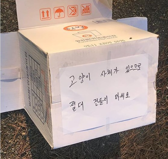 최근 한 SNS에 ＆quot;교내 어린 고양이의 목을 잔인하게 잘라둔 인간을 목격하신 분을 찾습니다＆quot;라는 글이 올라와 네티즌들이 충격에 빠졌다. SNS 캡처