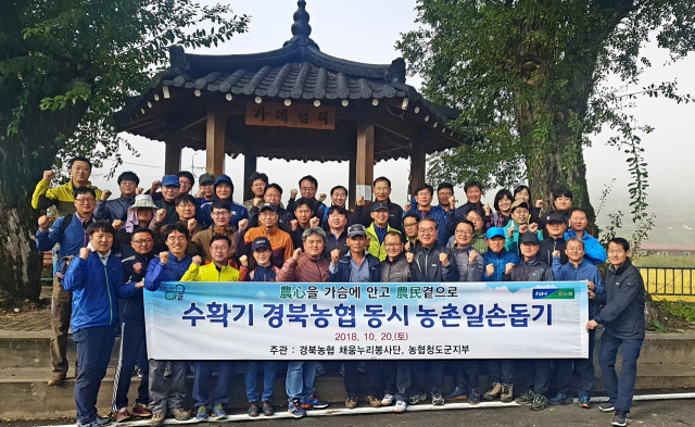 경북농협 임직원들이 청도군 매전면에서 수확기 일손돕기를 하고 기념사진을 찍고 있다. 경북농협 제공