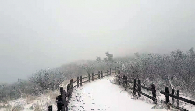 강원 산간에 눈이 내린 28일 설악산 중청대피소 주변 등산로에 눈이 쌓여있다. 이날 내린 눈은 강한 바람 때문에 크게 쌓이지 않아 오후 7시 현재 적설량은 2∼3㎝ 정도다. 연합뉴스