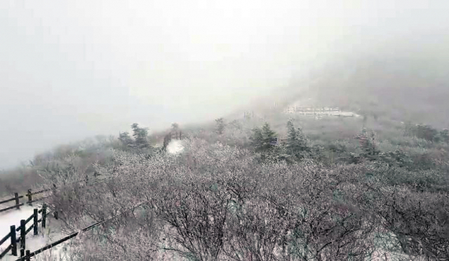 강원 산간에 눈이 내린 28일 설악산 중청대피소 주변에 눈이 쌓여있다. 이날 내린 눈은 강한 바람 때문에 크게 쌓이지 않아 오후 7시 현재 적설량은 2∼3㎝ 정도다. 연합뉴스