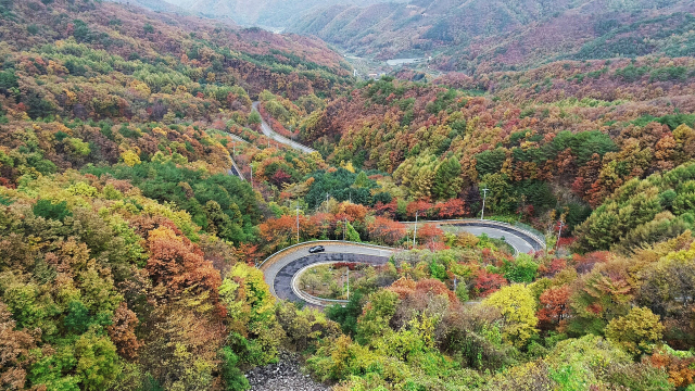충북 영동 민주지산 도마령이 29일 울긋불긋한 단풍으로 물들었다. 스물네 구비 길로 유명한 이 고개는 해발 1천ｍ가 넘는 높은 산봉우리에 둘러싸여 아름다운 단풍을 감상할 수 있다. 연합뉴스