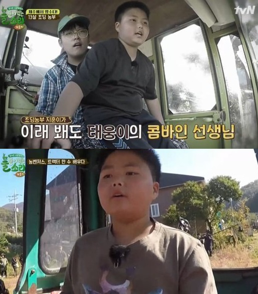 사진. 
