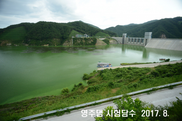이상돈 의원이 문제제기한 영주댐 녹조현상. 이상돈 의원실 제공㈜