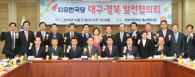 31일 오전 국회에서 자유한국당 대구경북 발전협의회와 대구시, 경북도가 모여 간담회를 열고 내년도 국비 확보와 현안 해결에 힘을 합치기로 했다. 경북도 제공