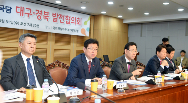 31일 오전 국회에서 자유한국당 대구경북 발전협의회와 대구시, 경북도가 모여 간담회를 열고 내년도 국비 확보와 현안 해결에 힘을 합치기로 했다. 이철우 경북도지사가 SOC와 미래 먹거리 사업에 대한 정치권의 협조를 당부하는 모습. 경북도 제공
