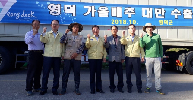 영덕 배추가 동남아에서 인기를 얻고 있다. 군 관계자들과 농민들이 10월 31일 대만으로의 출하를 마치고 화이팅을 외치고 있다. 영덕군 제공