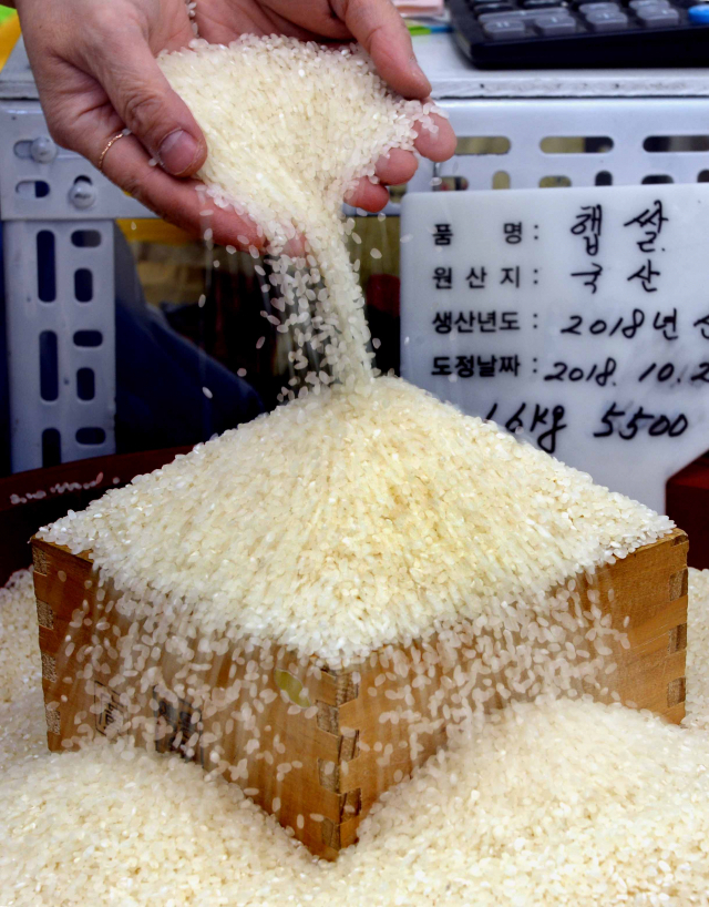 이물질이 없고, 쌀알에 광택이 나고 모양이 균일하고 찹쌀처럼 전부 또는 부분적인 백색이 없는 쌀이 좋은 쌀이다. 박노익 선임기자 noik@msnet.co.kr