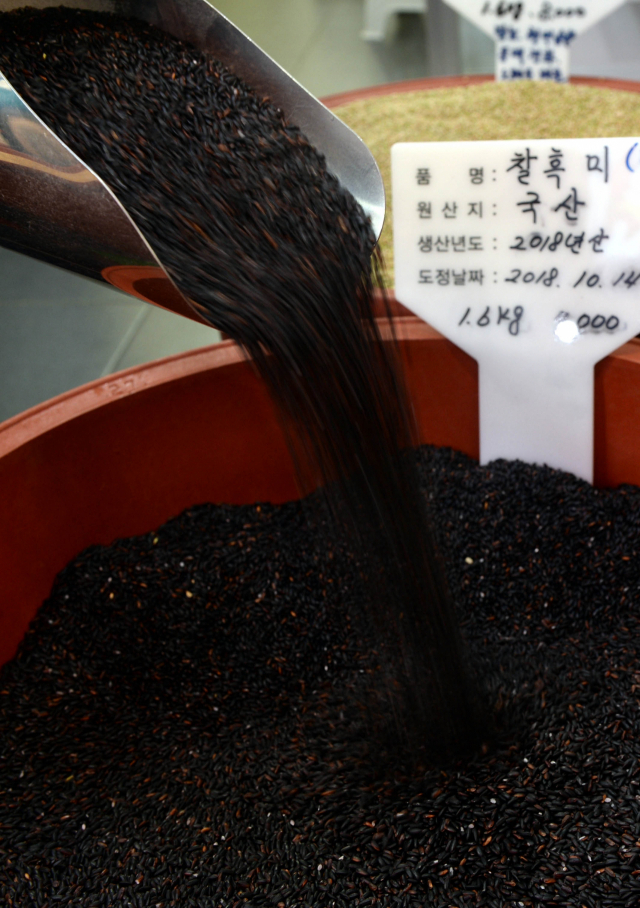 영양과 기호에 따라 다양한 쌀이 생산되고 있다. 사진은 흑미. 박노익 선임기자